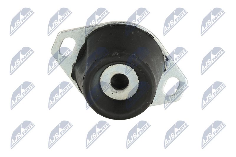Paigutus, Mootor, NTY ZPS-PE-005
