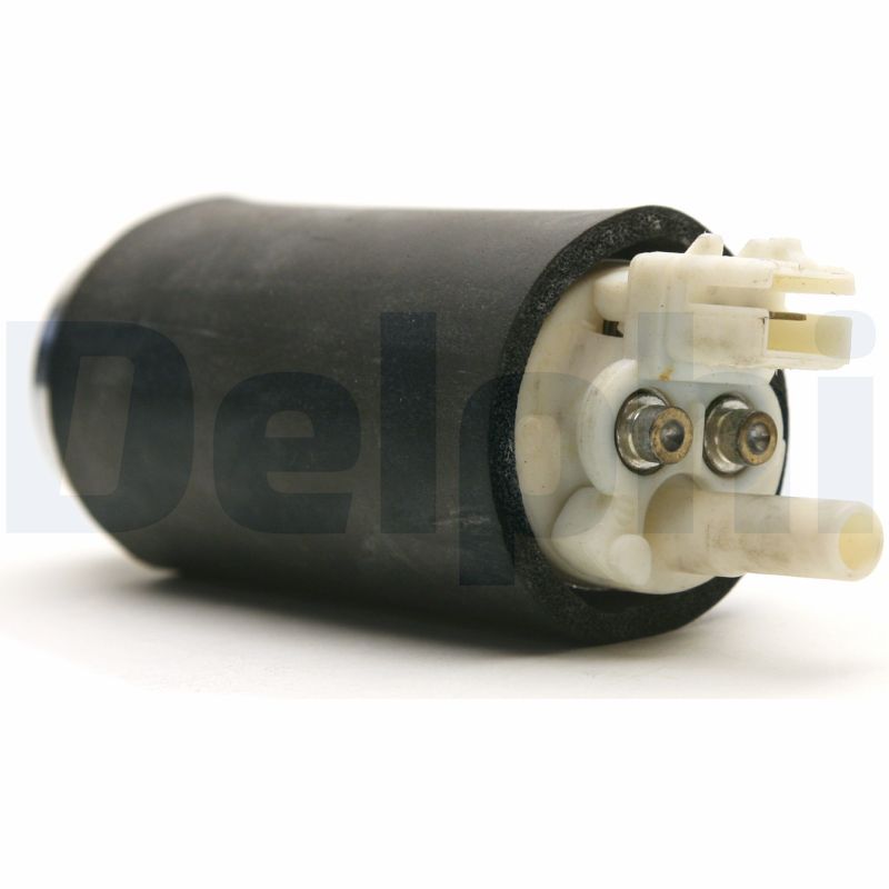 FE0102.JPG