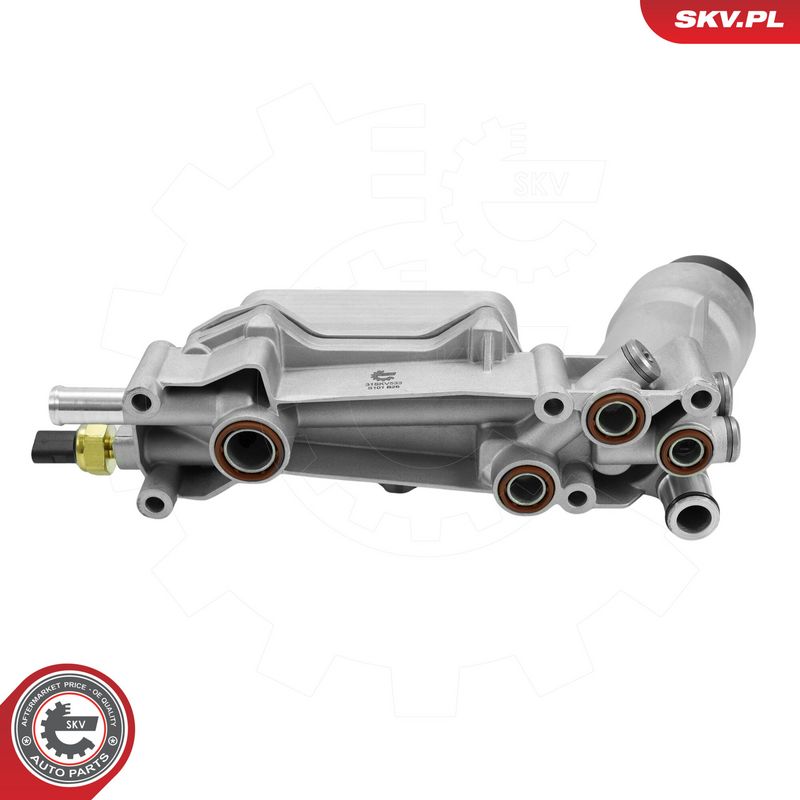 Prekės atitinka OEM kodą: 04893647AD