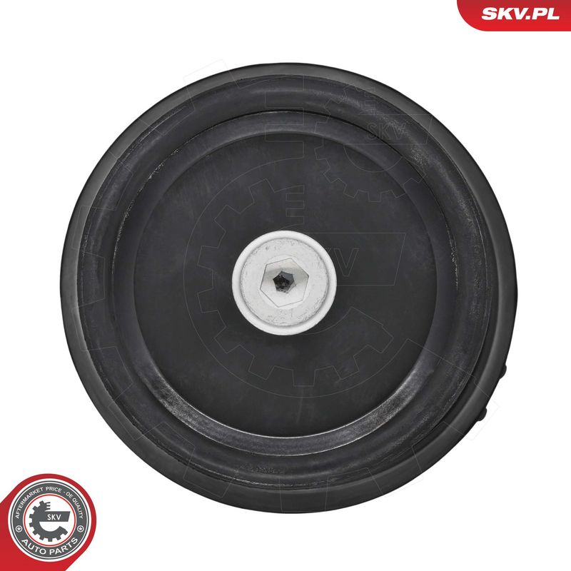 Paigutus, Mootor, ESEN SKV 75SKV240