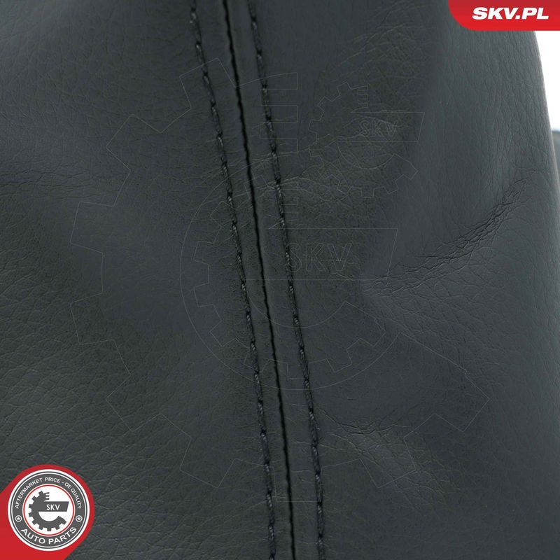 Käigukanginupp, ESEN SKV 63SKV490