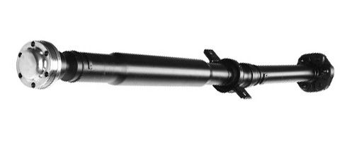 Halter, Motoraufhängung