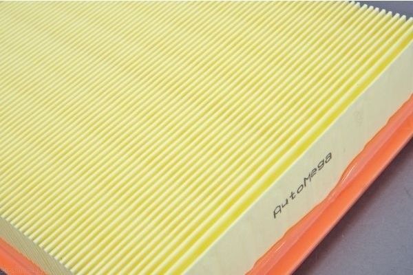AUTOMEGA 180034110 Air Filter