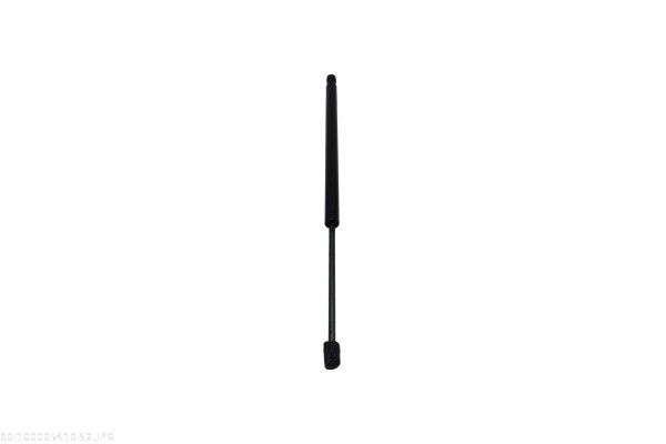 AUTOMEGA 100005410 Gas Spring, boot/cargo area