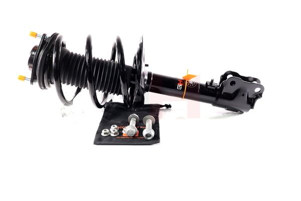 Vedruamort, GH GH-353057C01