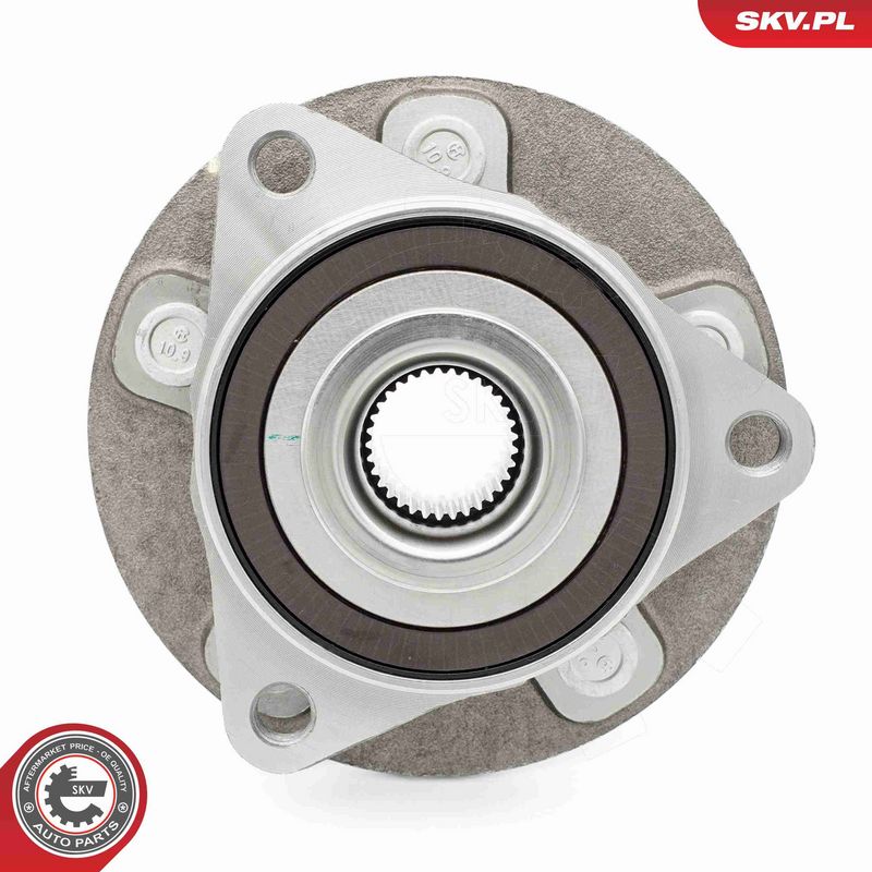 ESEN SKV 29SKV688 Wheel Bearing Kit