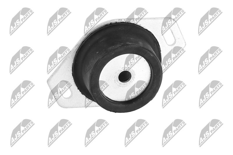 Paigutus, Mootor, NTY ZPS-PE-009