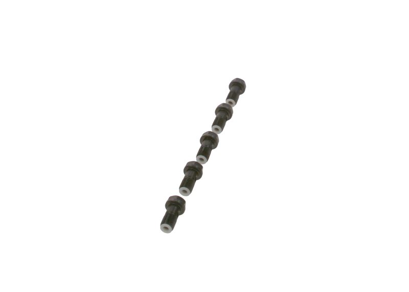 Surub F 019 D01 024 BOSCH