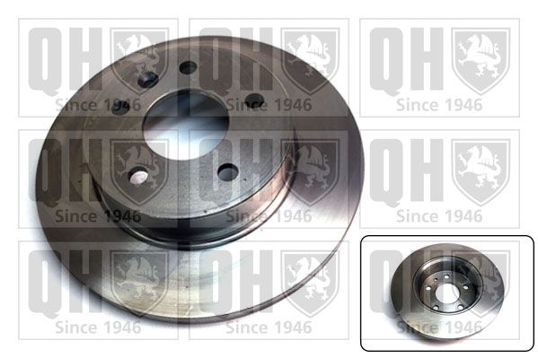 QH_BDC5218.JPG