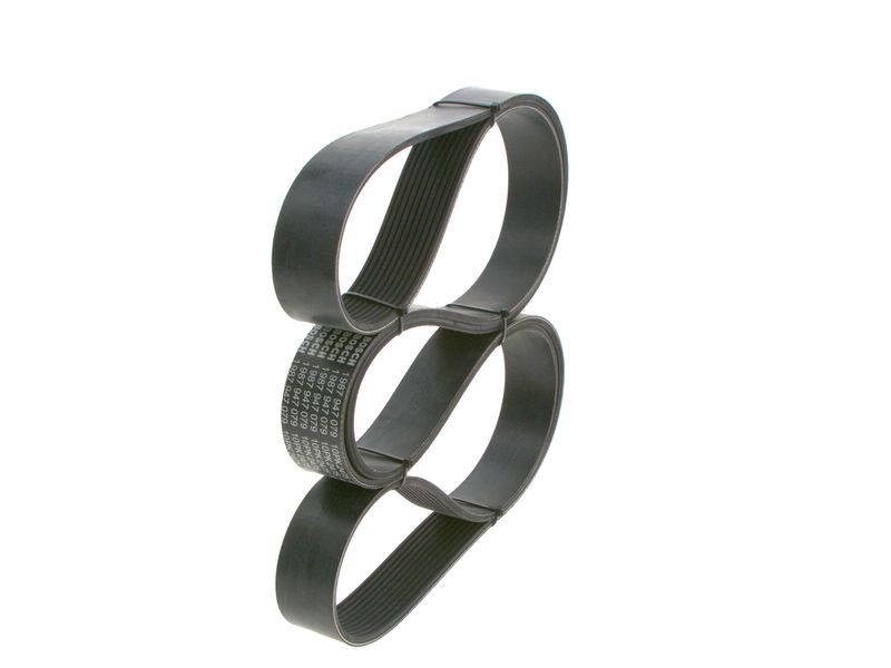 BOSCH 1987947079 V-ribbed Belt
