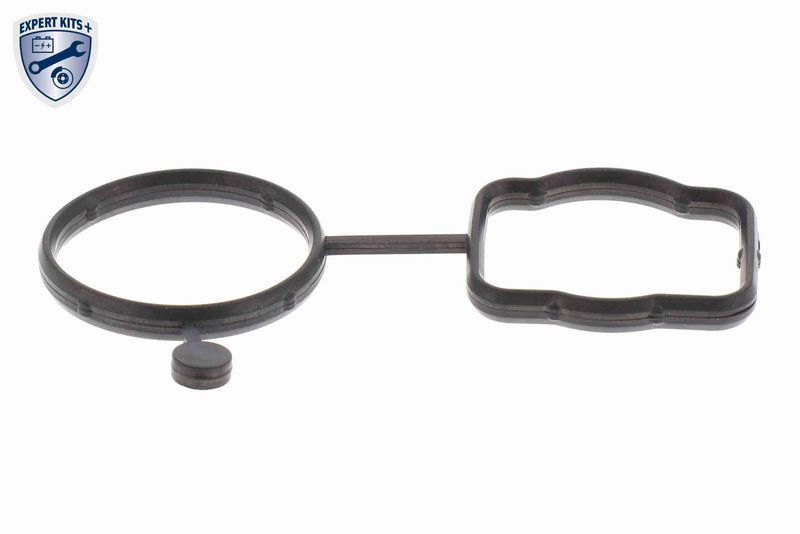 Remondikomplekt, veepump, VAICO V10-4919