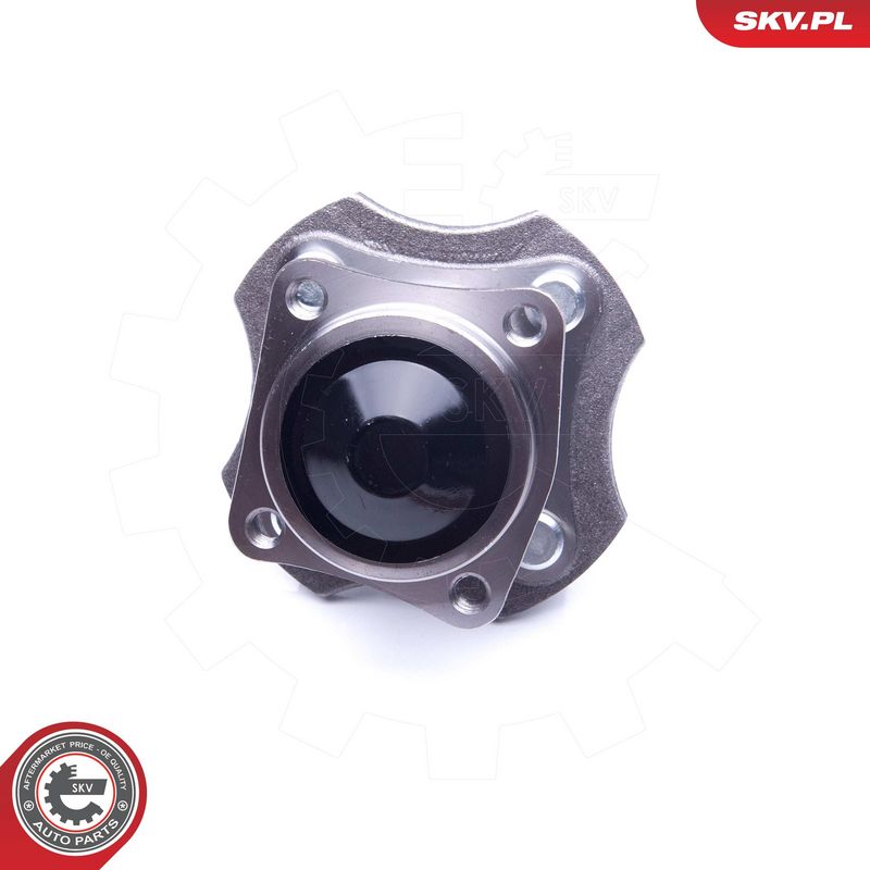 Rattalaagrikomplekt, ESEN SKV 29SKV231