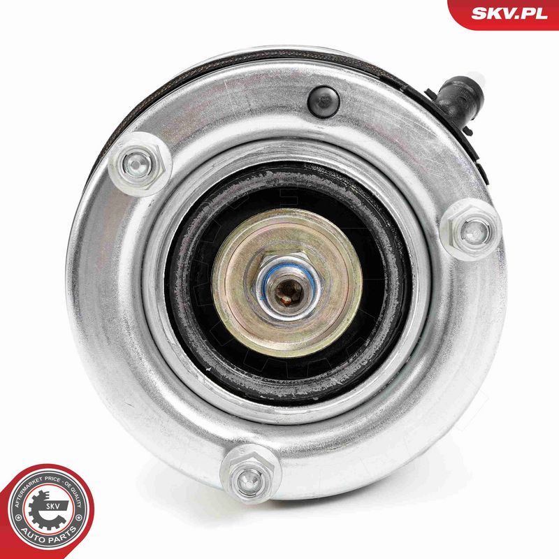 ESEN SKV 58SKV710 Air Suspension Strut