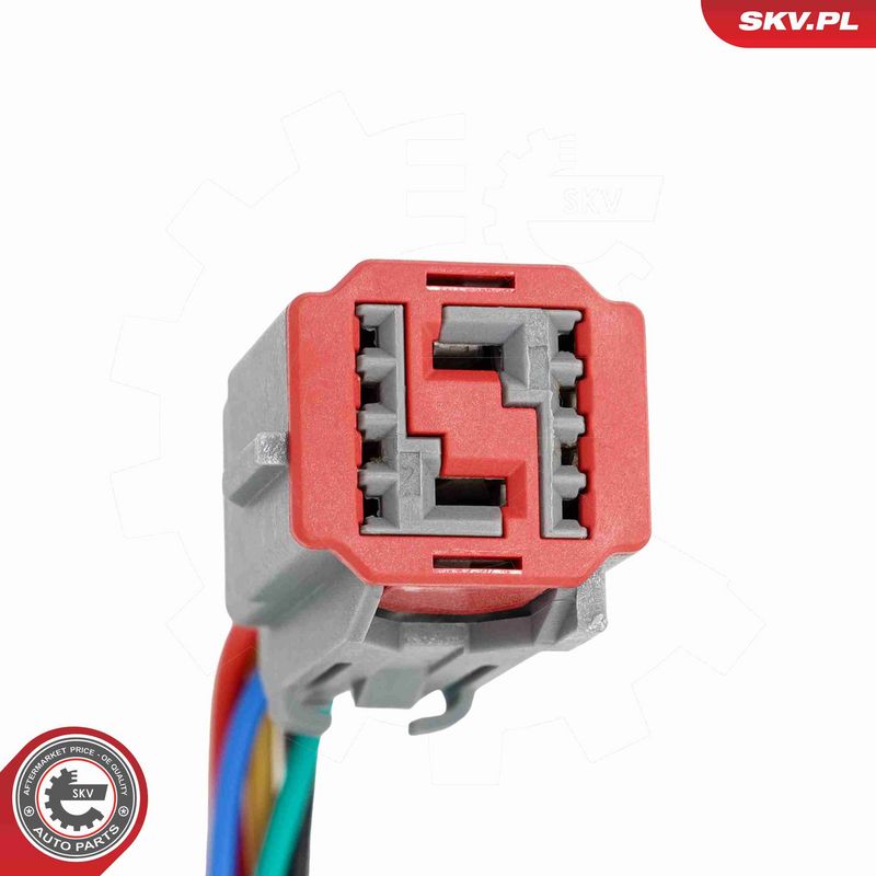 ESEN SKV 52SKV207 Electric Motor, tailgate