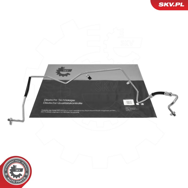 Prekė atitinka OEM kodą: 9685500280