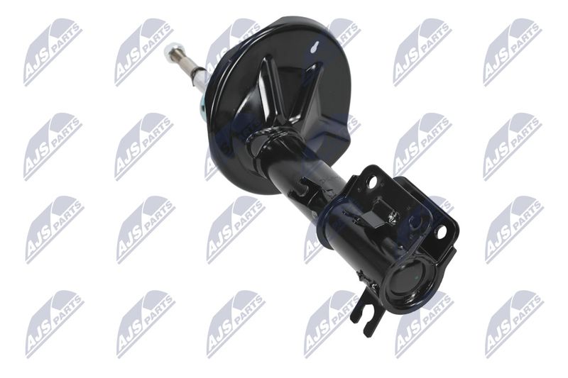 Amort, NTY A-CH-052