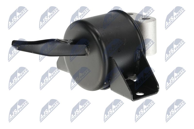 Paigutus, Mootor, NTY ZPS-DW-010