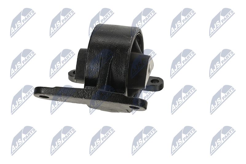 Paigutus, Mootor, NTY ZPS-CH-043