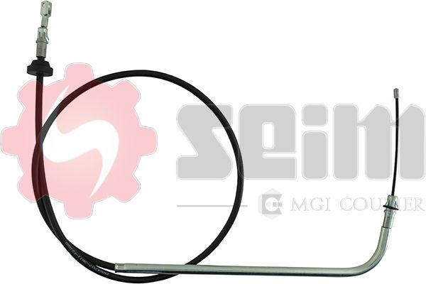 554707.JPG