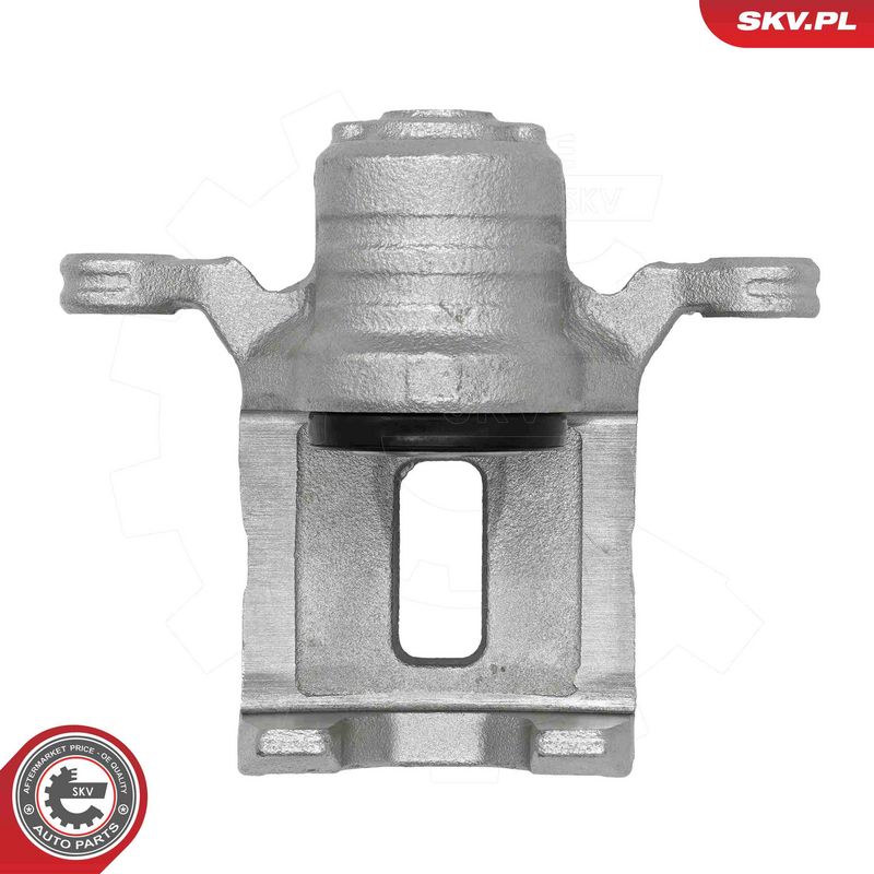Pidurisadul, ESEN SKV 79SKV223