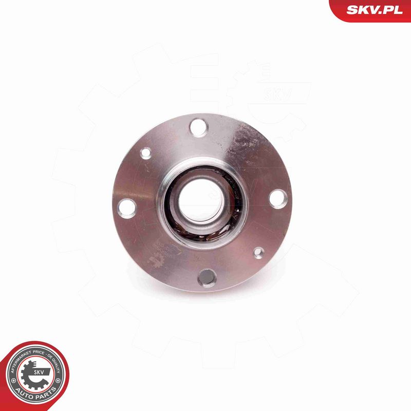 ESEN SKV 29SKV038 Wheel Bearing Kit