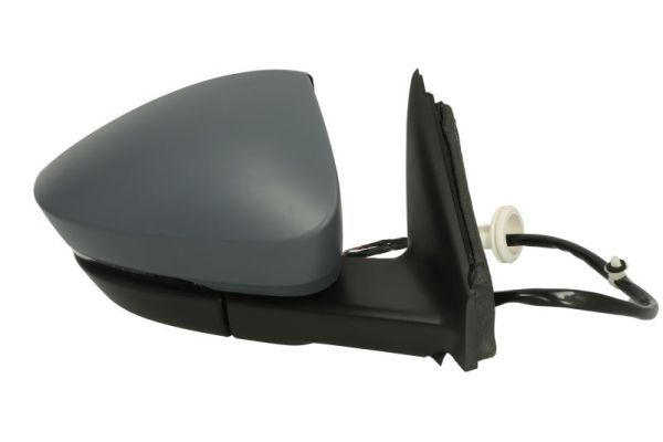 BLIC 5402-43-1926329P Exterior Mirror