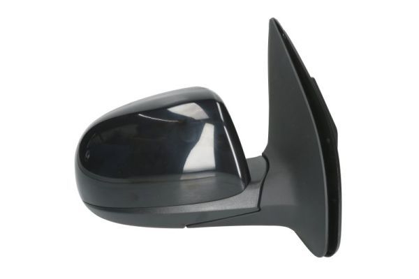 BLIC 5402-20-2001404P Exterior Mirror