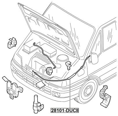 28101-DUCII_1.JPG