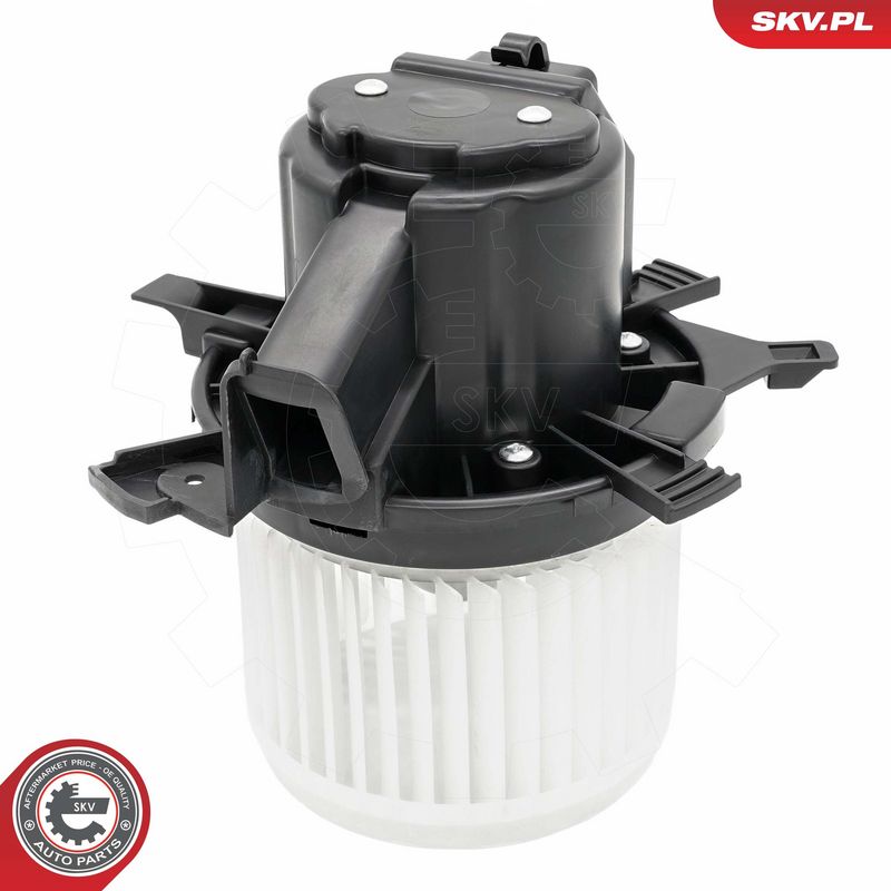 Salongipuhur, ESEN SKV...