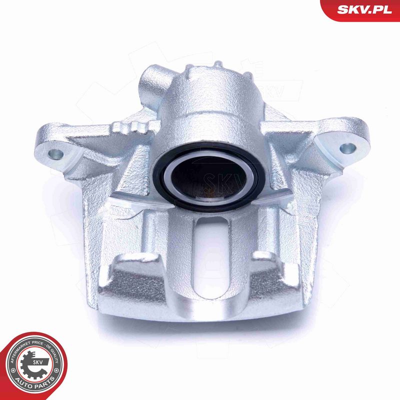 ESEN SKV 42SKV841 Brake Caliper