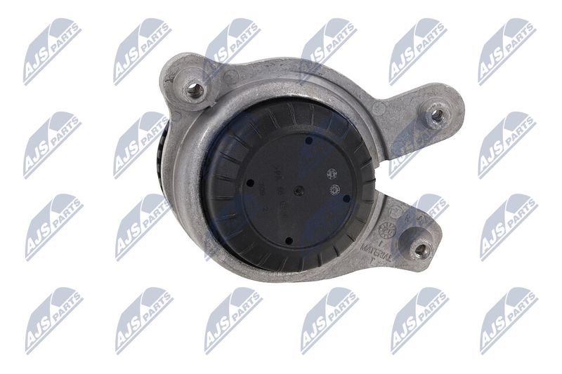 Paigutus, Mootor, NTY ZPS-ME-031