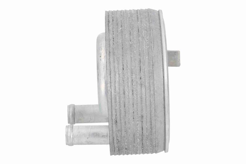ACKOJA A38-60-0006 Oil Cooler, engine oil