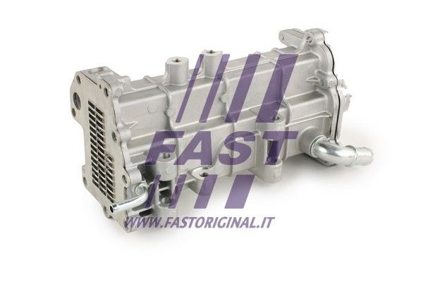 FT60404_1_1.JPG