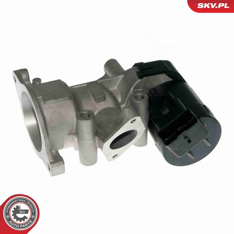 ESEN SKV 14SKV057 EGR Valve