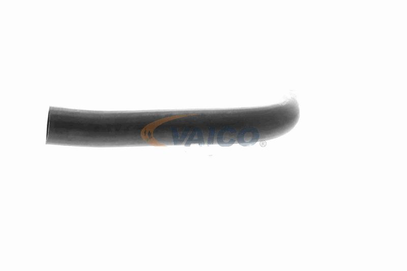 VAICO V30-0729 Radiator Hose