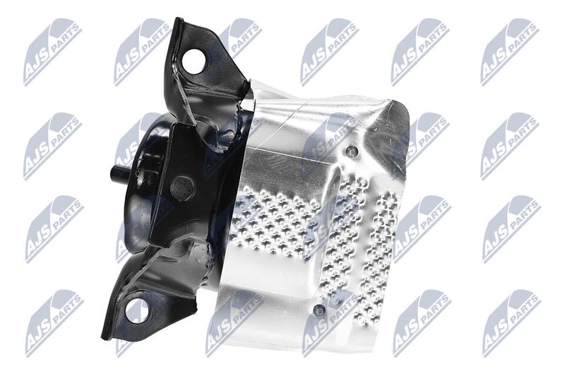 Paigutus, Mootor, NTY ZPS-CH-150