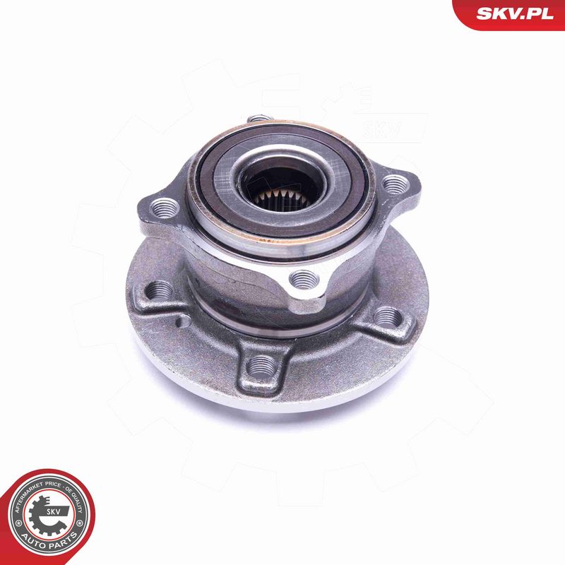ESEN SKV 29SKV315 Wheel Bearing Kit