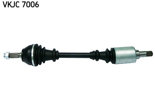 VKJC 7006.JPG