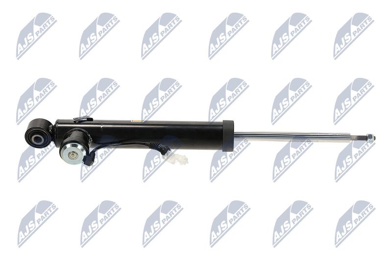 Amort, NTY A-PL-065