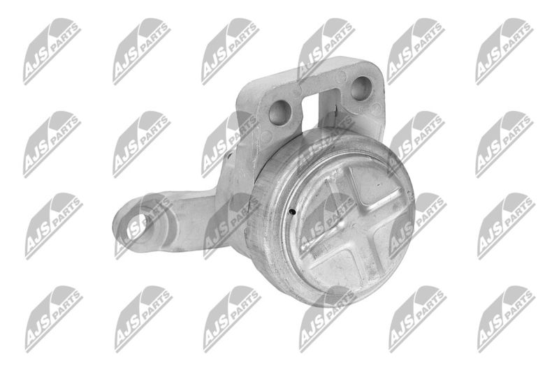 Paigutus, Mootor, NTY ZPS-FR-033