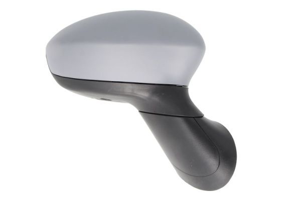 BLIC 5402-04-1122933P Exterior Mirror
