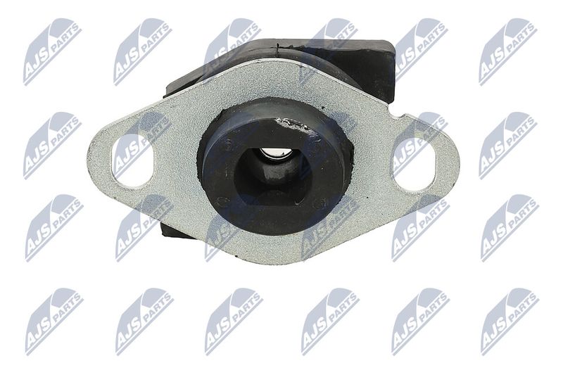 Paigutus, Mootor, NTY ZPS-RE-031