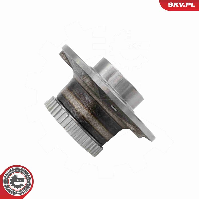 ESEN SKV 29SKV723 Wheel Bearing Kit