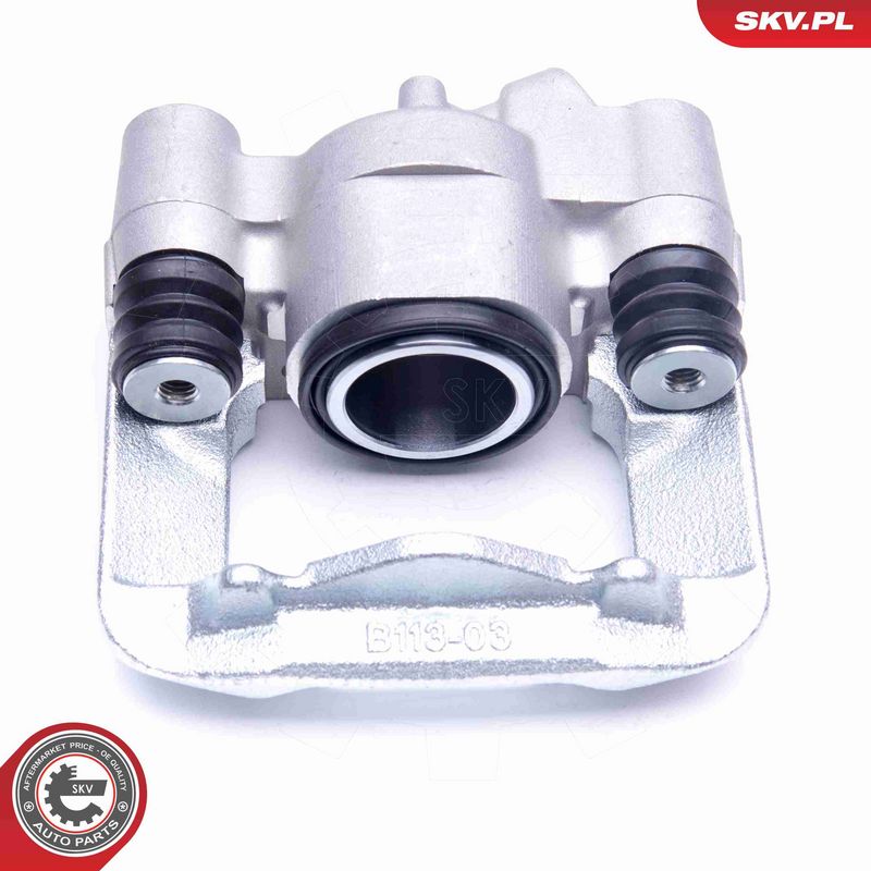 ESEN SKV 45SKV302 Brake Caliper