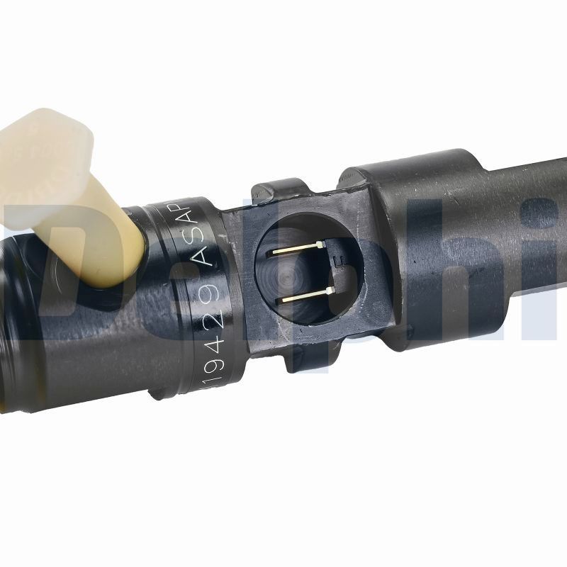 DELPHI R05301D-12B1 Injector