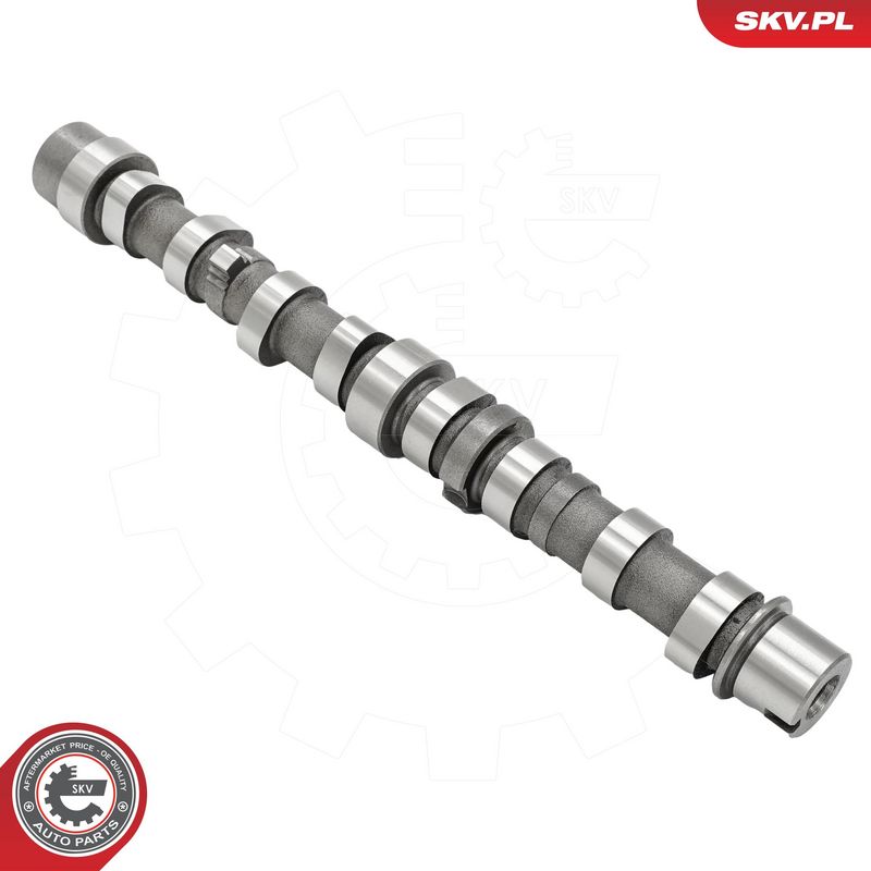 Nukkvõll, ESEN SKV 80SKV020