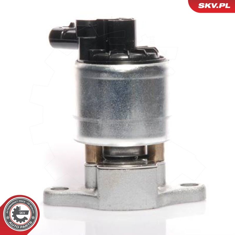 EGR-klapp, ESEN SKV 14SKV041