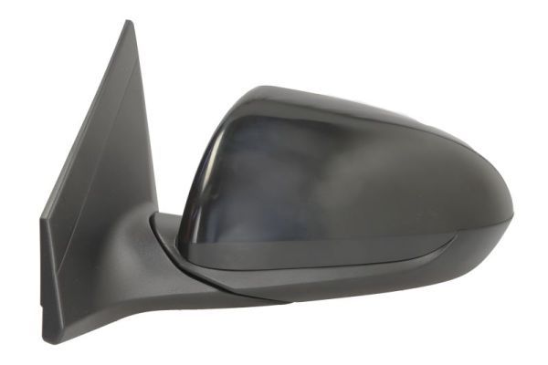 BLIC 5402-20-1729310P Exterior Mirror
