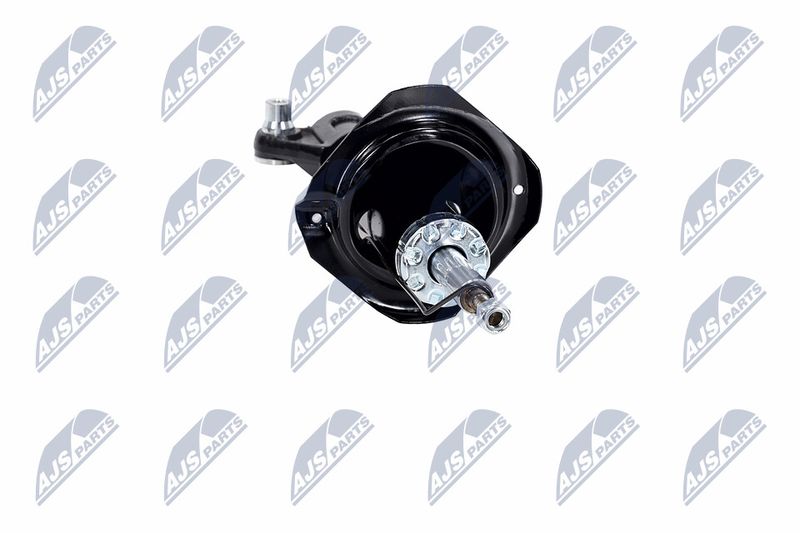 Amort, NTY A-NS-015