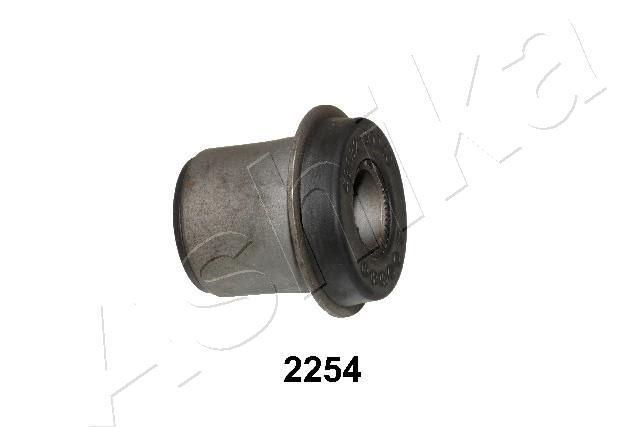 GOM-2254_1.JPG
